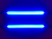 Blue Neons