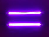 Purple Neons