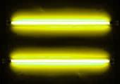 Yellow Neons - 30cm (12 inch)
